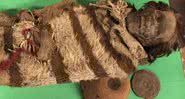 Uma das múmias analisadas no estudo, descoberta na Argentina - Divulgação/Universidad Nacional de San Juan