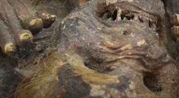 A "múmia sereia" do Japão - Divulgação/Vídeo/The Asahi Shimbun