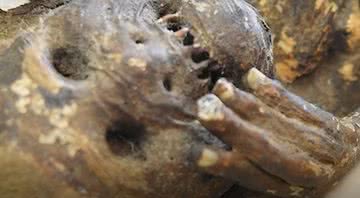 A "múmia sereia" do Japão - Divulgação/Vídeo/The Asahi Shimbun
