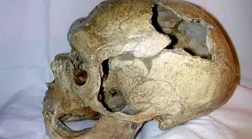 Crânio do "Velho de La Chapelle", reexaminado no estudo deste ano - PLoS (2004) Neandertals Likely Kept Their Genes to Themselves via Wikimedia Commons