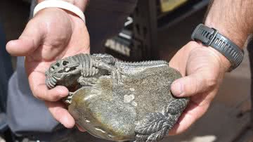 Fotografia de um dos fósseis que teriam sido roubados - Divulgação/ U.S. Attorney’s Office