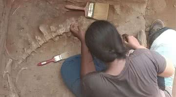 O osso de animal encontrado em Keezhadi - Divulgação