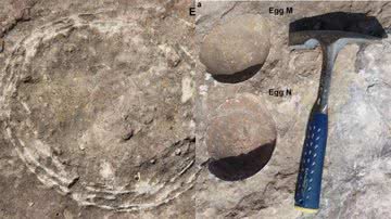 Ovo fossilizado dentro de outro ovo descoberto na Índia - Divulgação/Guntupalli V. R. Prasad et. al