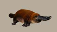 Representação artística de como seria a aparência do Patagorhynchus pascuali, parente do ornitorrinco - Divulgação/Fernando Novas