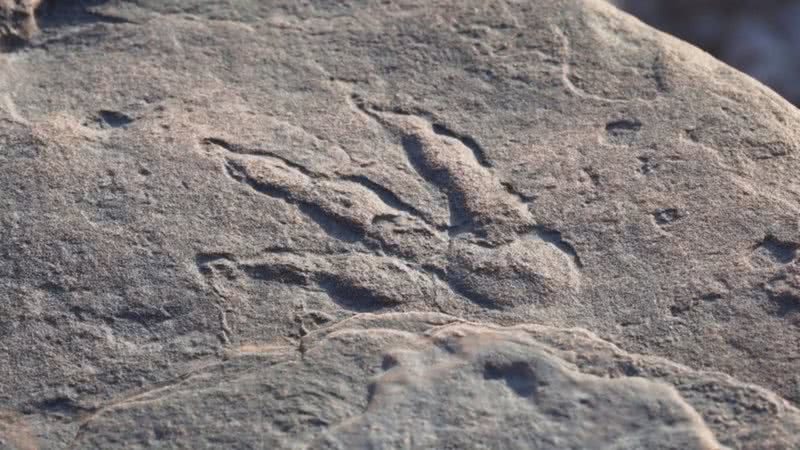 Pegada de dinossauro descoberta - Divulgação - National Museum Wales