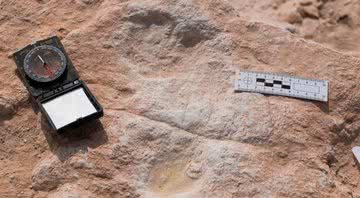 Pegadas humanas descobertas em Tabuk, Arábia Saudita - Divulgação/Projeto Palaeodeserts