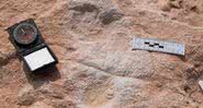 Pegadas humanas descobertas em Tabuk, Arábia Saudita - Divulgação/Projeto Palaeodeserts