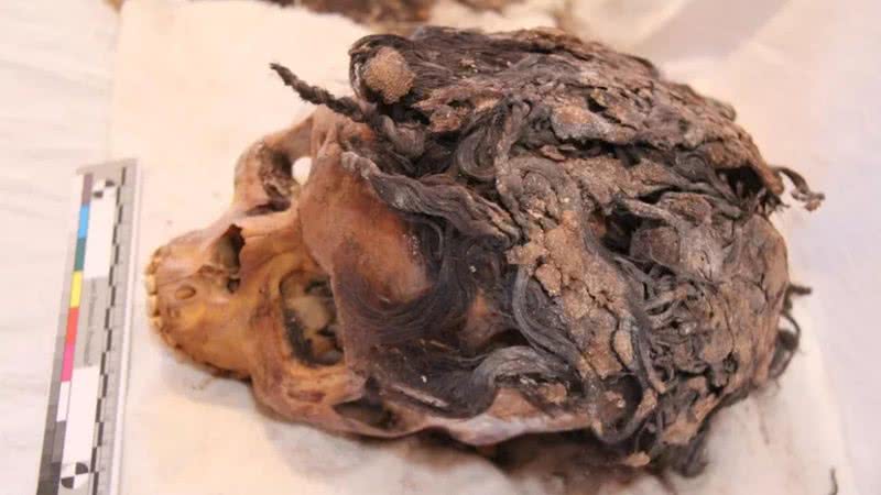 A múmia da mulher egípcia com "mega hair" - Wikimedia Commons