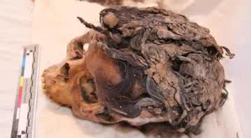 A múmia da mulher egípcia com "mega hair" - Wikimedia Commons