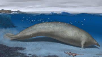 Reconstrução do Perucetus colossus em seu habitat costeiro - Reprodução/Nature/Alberto Gennari