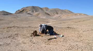 Pesquisadores da Universidade do Chile e do Museu de História Natural e Cultural do Deserto de Atacama no sítio - Rodrigo Otero