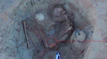 Esqueleto encontrado de mulher grávida - Divulgação / Ministério de Antiguidades