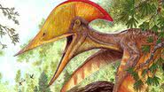 Ilustração do pterossauro Meilifeilong youhao - Divulgação/Maurilio Oliveira