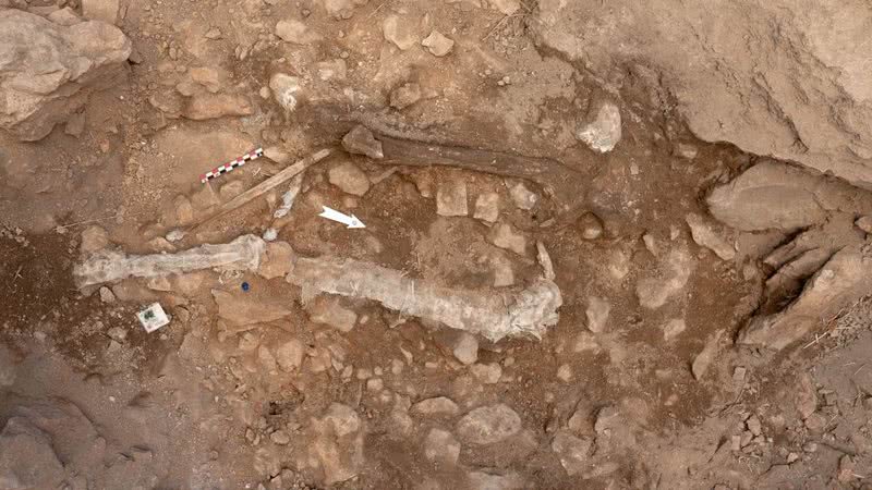 Restos mortais de mulher encontrados na Espanha - Divulgação/CEPA