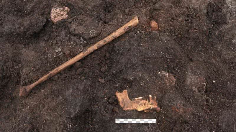 Fotografia dos restos humanos neolíticos - Divulgação/ ROMU
