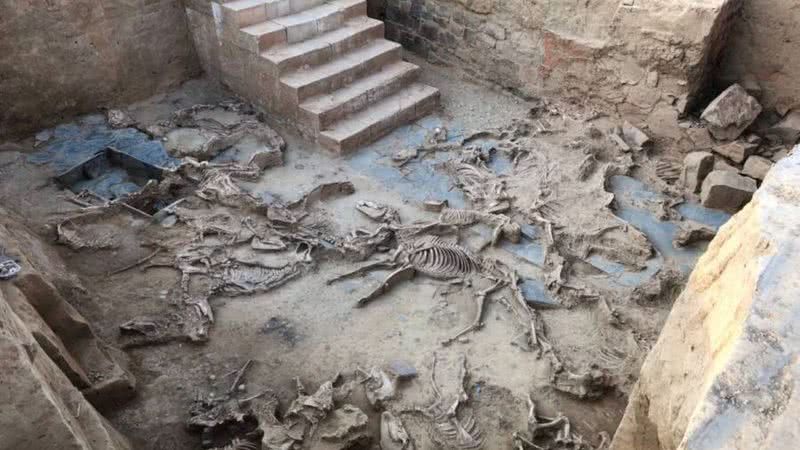 Poço da Idade do Ferro com restos mortais de dezenas de animais, encontrado na Espanha - Divulgação/Instituto Arqueológico de Mérida