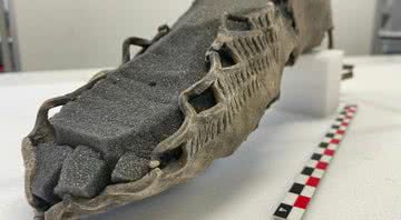 Fotografia do sapato com uma peça de espuma no formato de um pé dentro - Divulgação/ Espen Finstad/ Glacier Archaeology Program Innlandet