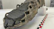 Fotografia do sapato com uma peça de espuma no formato de um pé dentro - Divulgação/ Espen Finstad/ Glacier Archaeology Program Innlandet