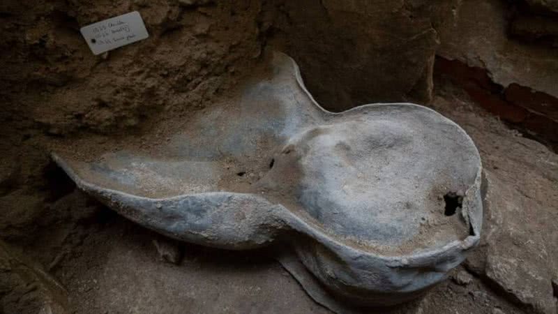 Fotografia do sarcófago de chumbo - Divulgação/ Ministério da Cultura da França/ Denis Gliksman, Inrap / Rndp