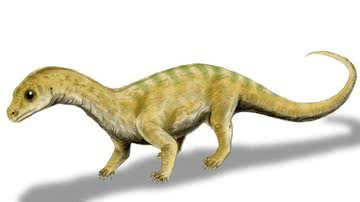 Ilustração mostrando representação anterior do fóssil, como se fosse um dinossauro filhote - Wikimedia Commons