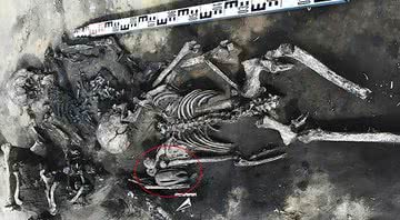Os esqueletos e artefatos encontrados - Instituto de Arqueologia e Etnografia de Novossibirsk