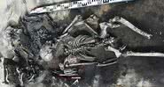 Os esqueletos e artefatos encontrados - Instituto de Arqueologia e Etnografia de Novossibirsk