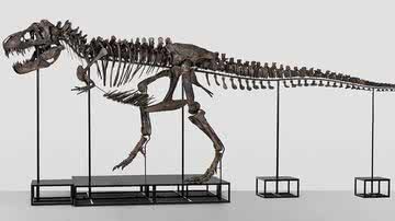 O T. rex Trinity, que será leiloado na Europa - Divulgação/Koller Auktionen