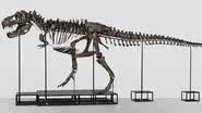 O T. rex Trinity, que será leiloado na Europa - Divulgação/Koller Auktionen