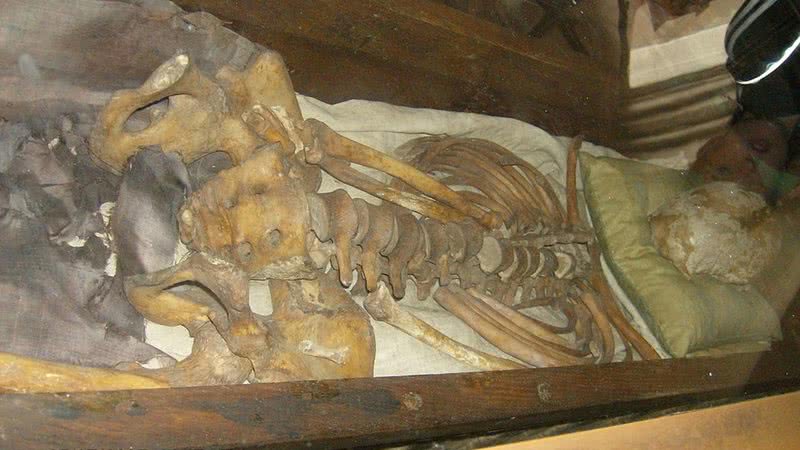 Fotografia do esqueleto do rei. - Divulgação/ Museu Nacional da Dinamarca