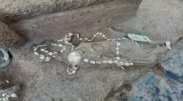 Fotografia de um dos fósseis encontrados na China - Divulgação/ Instituto de Relíquias Culturais e Arqueologia de Anyang