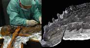 Análise no corpo de Ötzi e parte de dinossauro encontrada - Divulgação/South Tyrol Archeology Museum - Divulgação/Science Direct/Caleb M. Brown