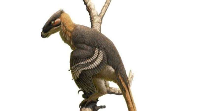 Ilustração do dinossauro Vectiraptor greeni - Divulgação/University of Bath