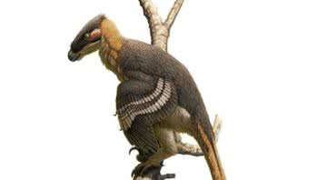 Ilustração do dinossauro Vectiraptor greeni - Divulgação/University of Bath