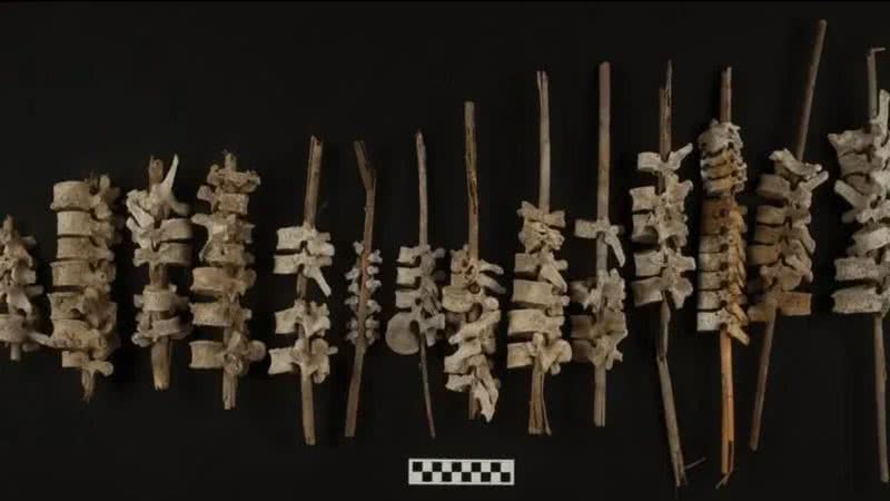 As vértebras humanas encontradas no Vale de Chincha, Peru - Divulgação/J.L. Bongers/Anitquity Publications LTD.
