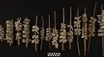 As vértebras humanas encontradas no Vale de Chincha, Peru - Divulgação/J.L. Bongers/Anitquity Publications LTD.