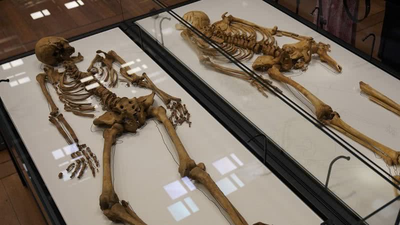 Esqueletos de dois familiares viking expostos no Museu Nacional da Dinamarca - Divulgação/ Nationalmuseet / Facebook