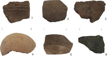 Amostras de cerâmica descobertas na ilha caribenha de Mona - Divulgação/Lisa Briggs et.al