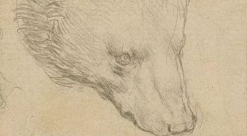 Esboço da cabeça de urso de da Vinci - Divulgação / Christie's