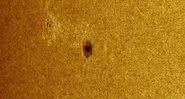 Grande mancha solar apelidada de AR2770 - Divulgação/Space Weather