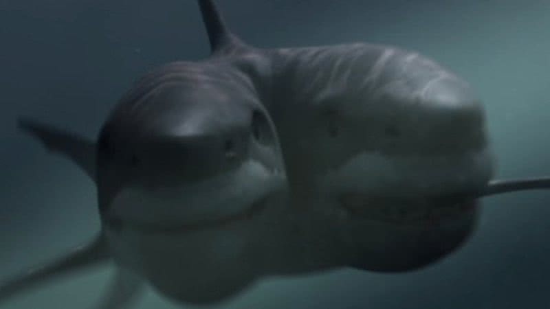 Imagem ilustrativa do filme Ataque do Tubarão Mutante - Divulgação