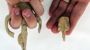 As pequenas armas, chamadas de atlatls, encontradas no Oregon - Divulgação/Robert Losey