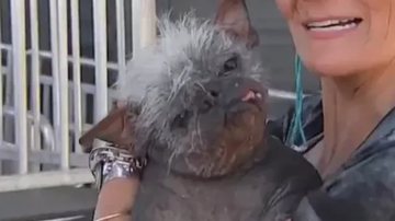 Mr. Happy Face, eleito 'cachorro mais feio do mundo' - Divulgação/Vídeo