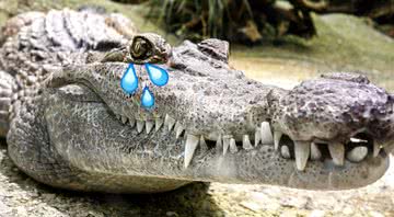 Imagem ilustrativa de um crocodilo com lágrimas - Imagem de TeeFarm por Pixabay