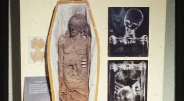 Fotografia da múmia no Museu do Antigo Capitólio no Mississipi - Divulgação
