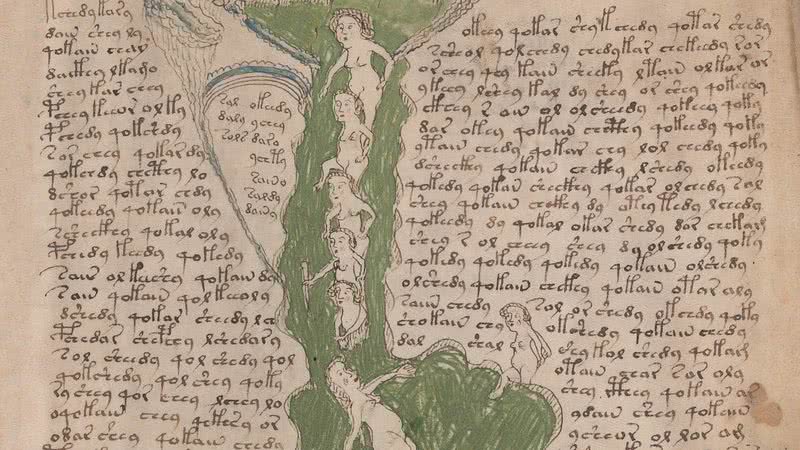 Detalhe de uma das páginas do Manuscrito de Voynich - Wikimedia Commons