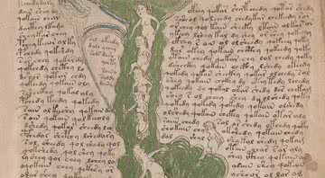 Detalhe de uma das páginas do Manuscrito de Voynich - Wikimedia Commons
