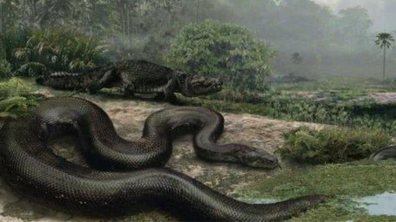 Reconstituição de cobra Titanoboa cerrejonensis - Divulgação/Universidade da Flórida