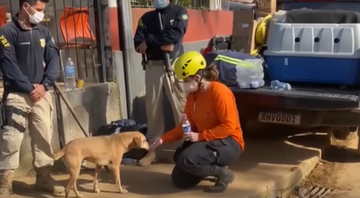 Participante do Grad interagindo com um dos animais resgatados - Divulgação / Youtube (Balanço Geral)