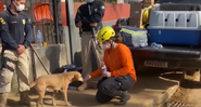 Participante do Grad interagindo com um dos animais resgatados - Divulgação / Youtube (Balanço Geral)