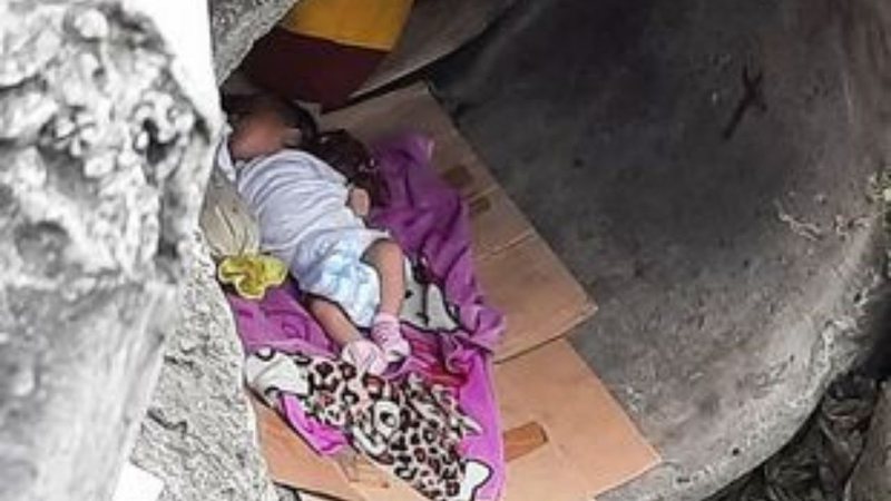Foto mostrando momento em que recém-nascido foi avistado - Divulgação / Jefferson Nazareno/ Arquivo Pessoal